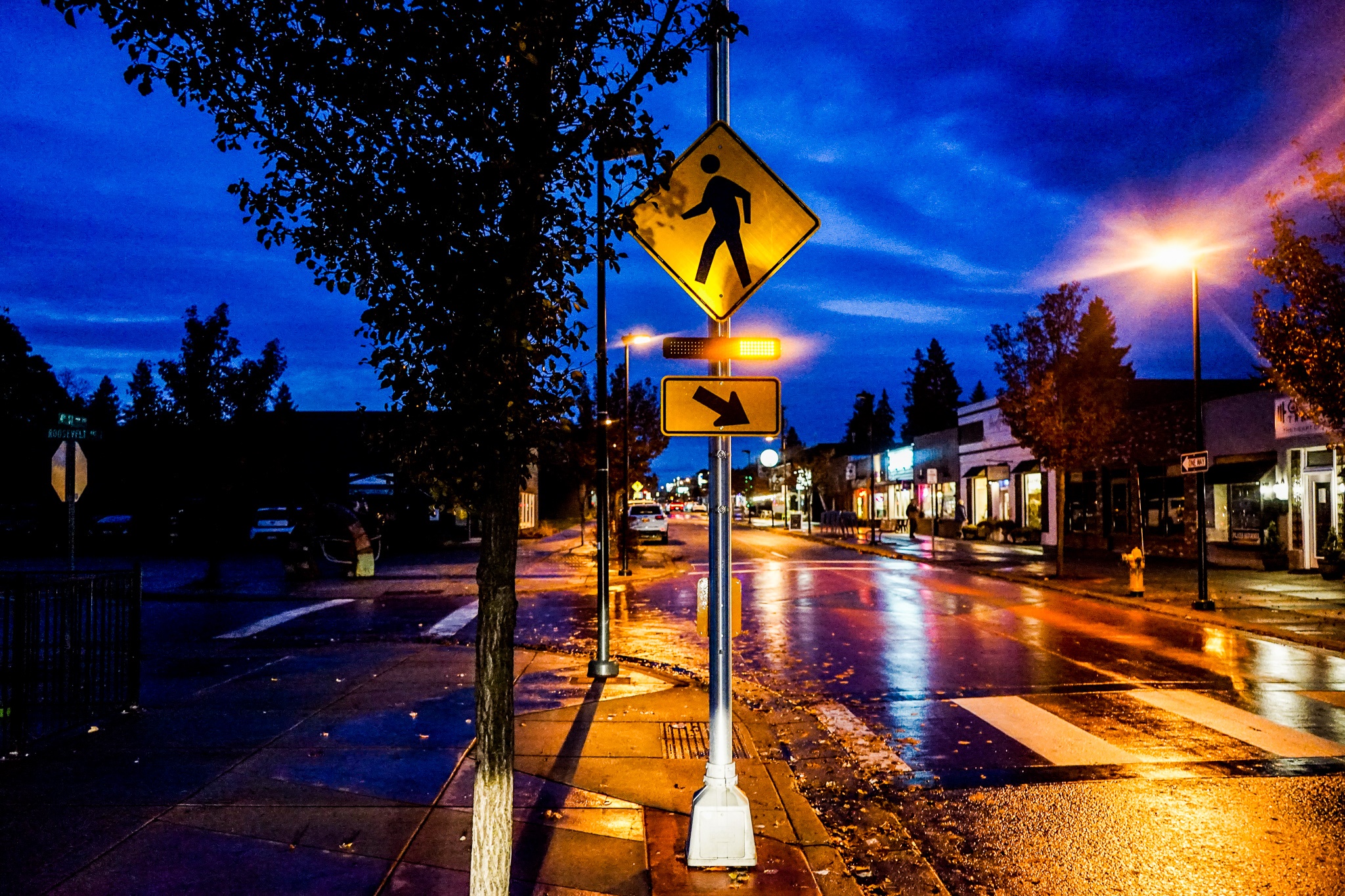 TraffiCalm Push 2 Cross Pedestrian Safety Solution Florida Department of Transportation