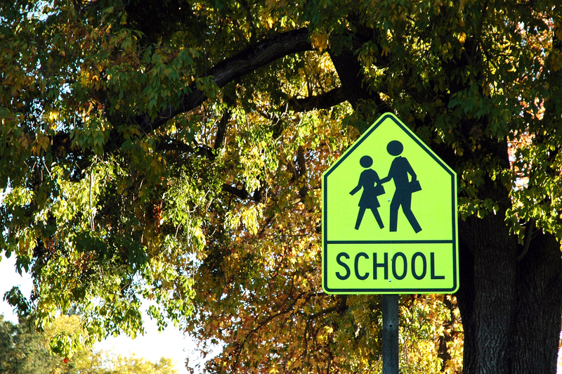 Pedestrian safety school zone traffic control phased signals © Karin Hildebrand Lau | Dreamstime.com