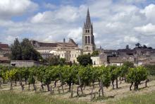 St. Emilion, France Social Tours