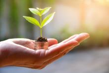 Venture capital investment start-ups growth money © Krisana Antharith | Dreamstime.com