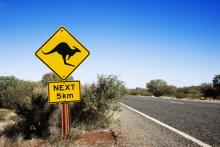 South Pacific Australia kangaroo Paul Hogan crocodile road © Iofoto | Dreamstime.com