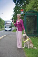 Blind lady with dog standing my bus stop