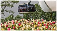 Trans-Rhine cable car